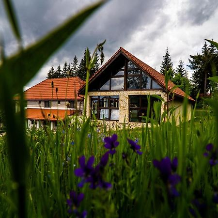 Pensiunea Romconcord Balcesti Buitenkant foto