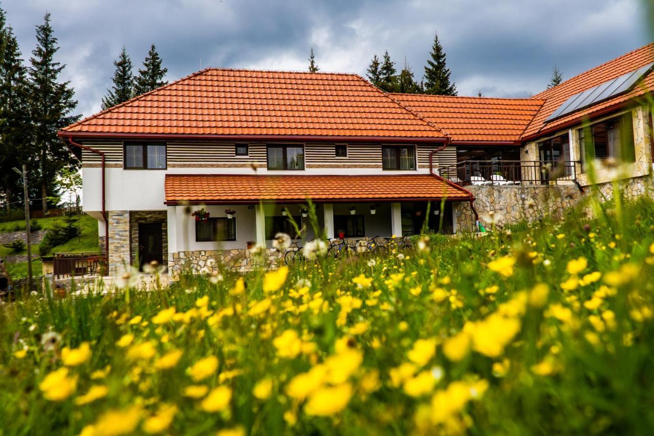 Pensiunea Romconcord Balcesti Buitenkant foto