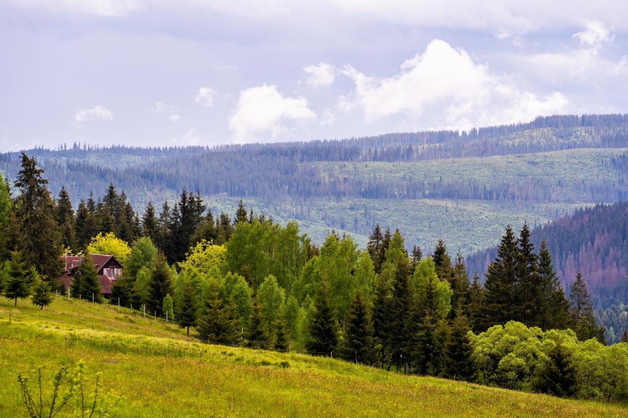 Pensiunea Romconcord Balcesti Buitenkant foto