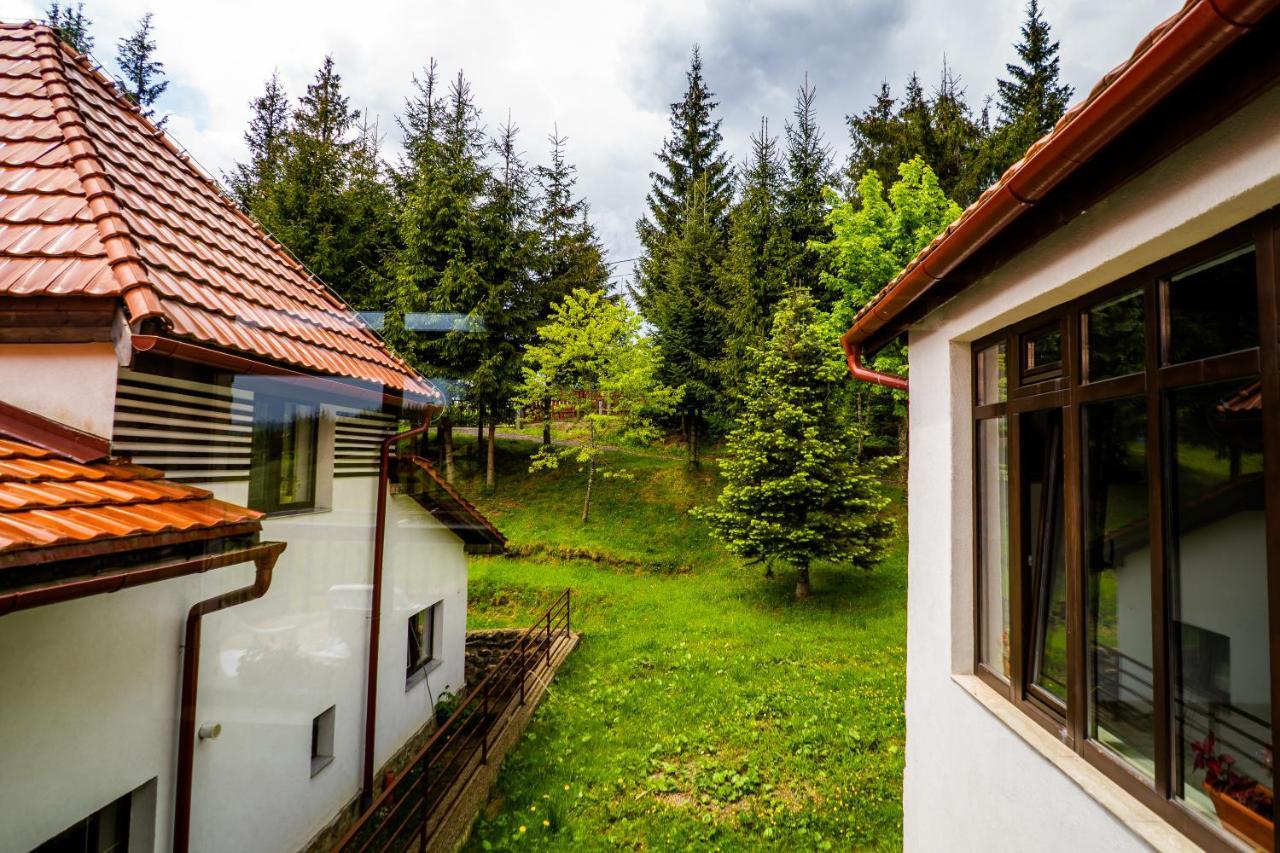Pensiunea Romconcord Balcesti Buitenkant foto