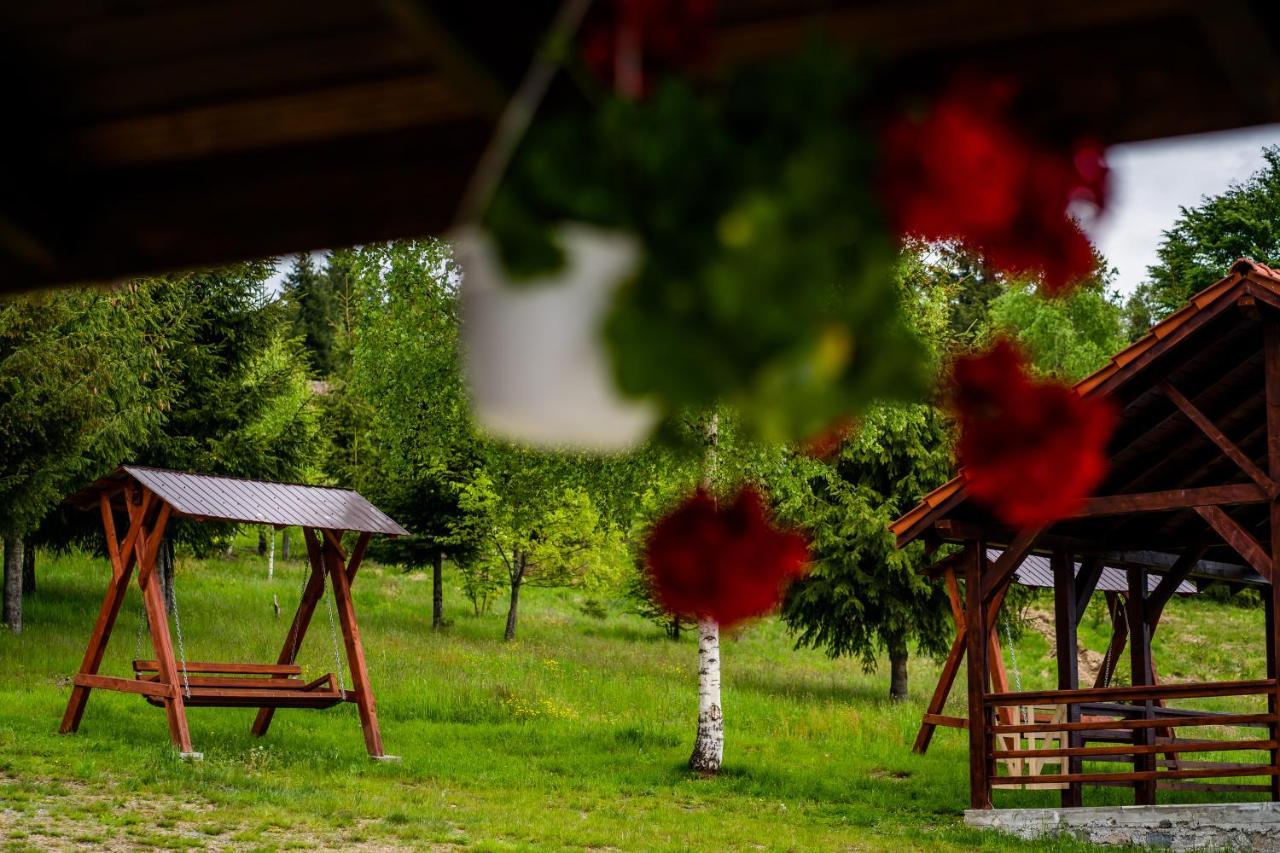 Pensiunea Romconcord Balcesti Buitenkant foto